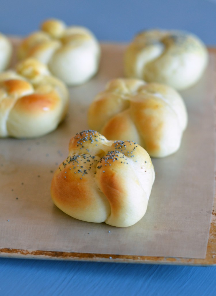 Overnight Refrigerator Rolls | Anecdotes and Apple Cores