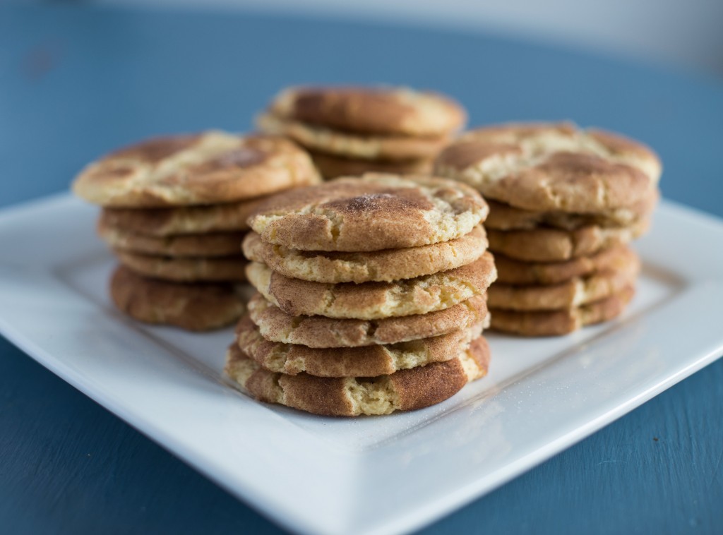 Chewy Snickerdoodle