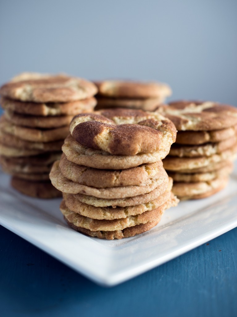 Chewy Snickerdoodle